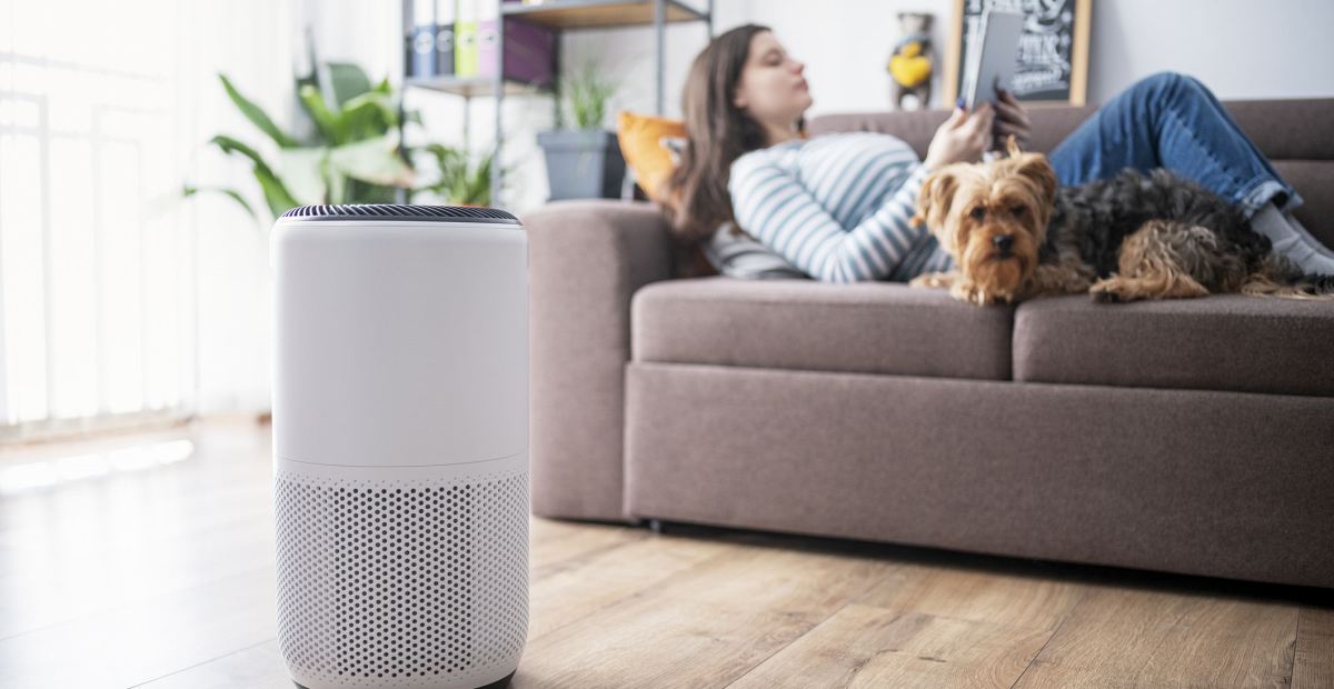 Kriteria Air Purifier Berkualitas untuk Hunian Sobat